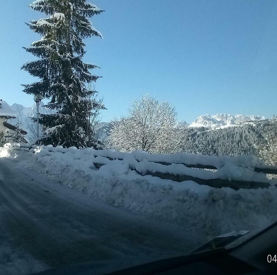 Da Nicola E Laura Daire Santo Stefano Di Cadore Dış mekan fotoğraf